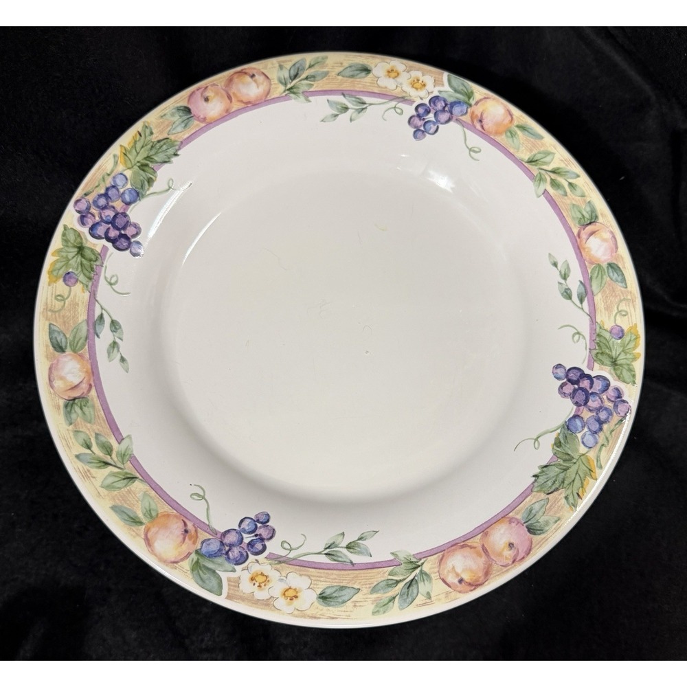PFALTZGRAFF Orchard Pattern Stoneware DINNER Plate 11"